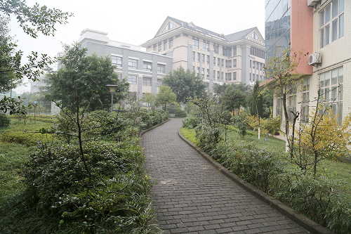 校園環(huán)境